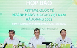 Lần đầu tiên tổ chức Festival quốc tế ngành hàng lúa gạo Việt Nam