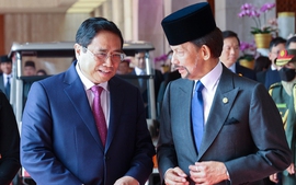 Chuyến thăm Singapore và Brunei của Thủ tướng: Nâng cấp lòng tin chiến lược và định rõ hướng ưu tiên hợp tác