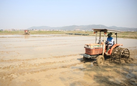 Đề nghị tiếp tục xả nước các hồ thủy điện hỗ trợ Hà Nội lấy đủ nước gieo cấy