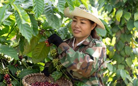 Nestlé tiếp tục được ghi nhận về nỗ lực thúc đẩy bình đẳng giới