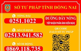 Từ 1/3, Đồng Nai thí điểm cấp phiếu lý lịch tư pháp điện tử