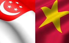 CEO EVVO Labs: Chuyến thăm của Thủ tướng Phạm Minh Chính tới Singapore sẽ nâng tầm mối quan hệ hai nước
