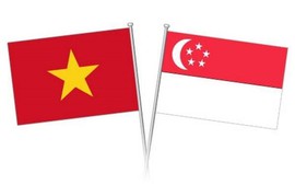 Những bước phát triển mạnh mẽ, năng động trong quan hệ Việt Nam - Singapore