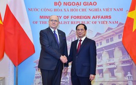 Bộ trưởng Ngoại giao Bùi Thanh Sơn hội đàm với Bộ trưởng Ngoại giao Ba Lan Zbigniew Rau