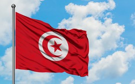 Điện mừng Quốc khánh Cộng hòa Tunisia