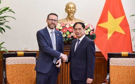 Bộ trưởng Ngoại giao Bùi Thanh Sơn tiếp Đại sứ Anh; hội đàm với Bộ trưởng Ngoại giao Dominica