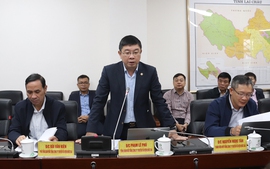 Đốc thúc gỡ vướng mặt bằng dự án truyền tải điện tại tỉnh Lai Châu