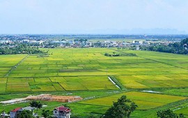 Chuyển mục đích sử dụng đất để thực hiện Dự án Cụm Công nghiệp Gia Thuận