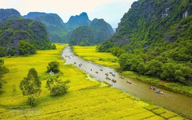 Tổ chức “Festival Nhiếp ảnh quốc tế Việt Nam” lần thứ hai, năm 2023 tại Bình Thuận