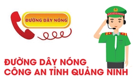 Infographic: Công an tỉnh Quảng Ninh công bố đường dây nóng tố giác tội phạm