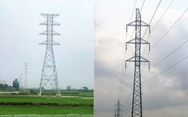 Đường dây 110 kV Quảng Xương - Sầm Sơn về đích sớm hơn 2 tháng