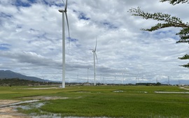 Hai dự án điện gió chuyển tiếp được phê duyệt giá mua điện tạm thời