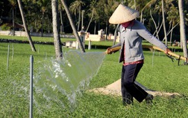 Giải pháp nào khắc phục tình trạng thiếu nước ngọt ở Lý Sơn?