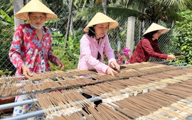 Bến Tre: Từ 'đồng khởi khởi nghiệp' đến phát triển HTX do phụ nữ quản lý