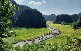 Trải nghiệm 'Sắc vàng Tam Cốc-Tràng An' với Tuần lễ du lịch Ninh Bình 2023