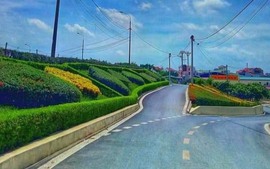 Huy động sức mạnh xã hội hóa để xây dựng nông thôn mới