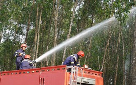 Miền Trung chủ động phòng chống cháy rừng