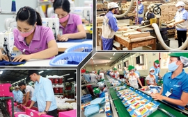 Cử tri miền Trung: Tăng trưởng kinh tế Việt Nam sau đại dịch COVID-19 là kỳ tích