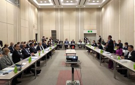 Bình Định tăng cường xúc tiến đầu tư với các doanh nghiệp Nhật Bản