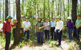 Quảng Trị ứng trực 24/24 trong suốt mùa khô để phòng chống cháy rừng
