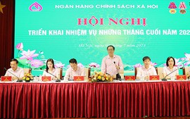 Tập trung toàn lực giải ngân chương trình cho vay theo Nghị quyết số 11/NQ-CP