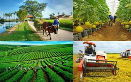Phấn đấu đến năm 2025, có từ 60% hợp tác xã nông nghiệp hoạt động tốt, khá trở lên