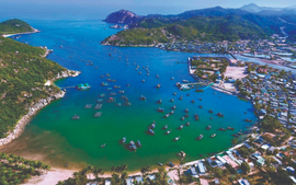 Thành lập Viện Khoa học môi trường, biển và hải đảo 
trực thuộc Bộ Tài nguyên và Môi trường