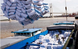 Tăng cường phát triển thị trường xuất khẩu gạo, bình ổn thị trường trong nước