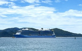 Khánh Hòa liên tục đón các chuyến tàu biển quốc tế