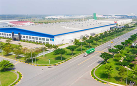 Chỉ đạo, điều hành của Chính phủ, Thủ tướng Chính phủ ngày 29/8/2023