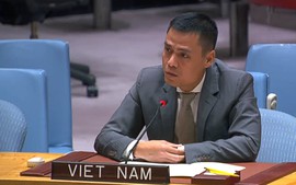 Việt Nam cam kết đóng góp trong bảo đảm an ninh lương thực toàn cầu