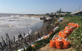 Thiên tai, xâm nhập mặn dự báo diễn biến cực đoan, Bến Tre lên kế hoạch ứng phó