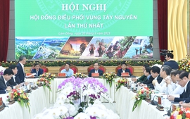 Phó Thủ tướng Trần Lưu Quang chủ trì Hội nghị Hội đồng điều phối vùng Tây Nguyên