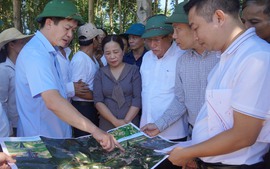 Quảng Bình, Quảng Trị khẩn trương giải quyết khó khăn, vướng mắc triển khai dự án cao tốc Bắc-Nam