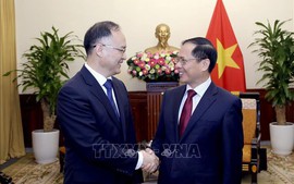 Bộ trưởng Ngoại giao Bùi Thanh Sơn tiếp Trợ lý Bộ trưởng Ngoại giao Trung Quốc Nông Dung