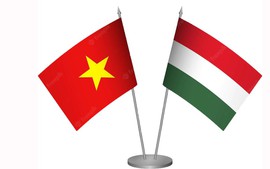 Mở thêm nhiều cơ hội hợp tác giữa Việt Nam và Hungary