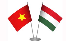 Chuyến thăm của Thủ tướng Phạm Minh Chính tới Hungary có ý nghĩa lịch sử quan trọng