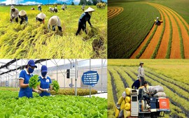 Triển khai các giải pháp hỗ trợ nông dân, phát triển nông nghiệp