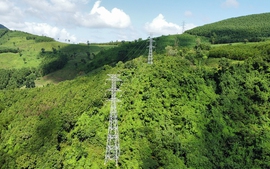 Đóng điện dự án tăng cường liên kết lưới điện giữa Bắc Trung Bộ và Nam Trung Bộ