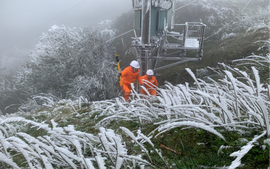 Công ty Điện lực Lạng Sơn nỗ lực vận hành lưới điện trong thời tiết khắc nghiệt