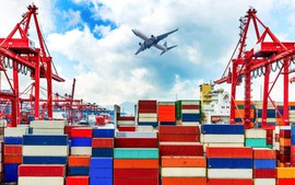 Đề xuất sửa Biểu thuế nhập khẩu ưu đãi đặc biệt của Việt Nam thực hiện Hiệp định ASEAN – Hàn Quốc