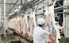 Đề án phát triển công nghiệp giết mổ, chế biến và thị trường sản phẩm chăn nuôi đến năm 2030