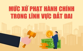 Infographics: Các mức xử phạt vi phạm hành chính trong lĩnh vực đất đai