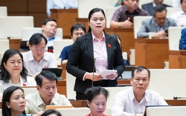 Sẽ có thông tư mới cơ cấu lại thời hạn trả nợ cho khoản vay bị thiệt hại do bão