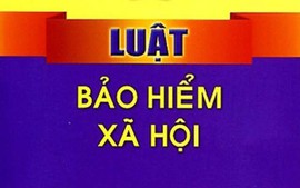 Kế hoạch triển khai thi hành Luật Bảo hiểm xã hội và Nghị quyết số 142/2024/QH15