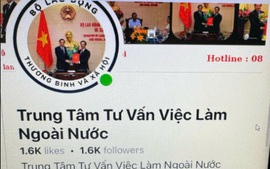 Tìm thông tin đi làm việc ở nước ngoài vào website nào?