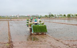 Hà Nội: Nâng cao giá trị sản xuất từ phát triển nông nghiệp công nghệ cao