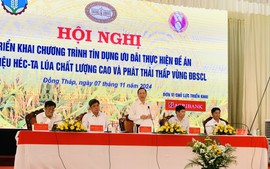 Đẩy mạnh tín dụng ưu đãi, thực hiện mục tiêu 1 triệu ha lúa chất lượng cao