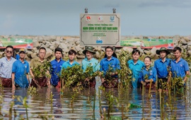 32 dự án vào Vòng chung khảo Giải thưởng Hành động vì cộng đồng 2024