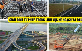 Đề xuất tiêu chuẩn, thủ tục bổ nhiệm giám định viên tư pháp lĩnh vực kế hoạch và đầu tư